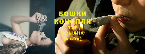 мдпв Горно-Алтайск
